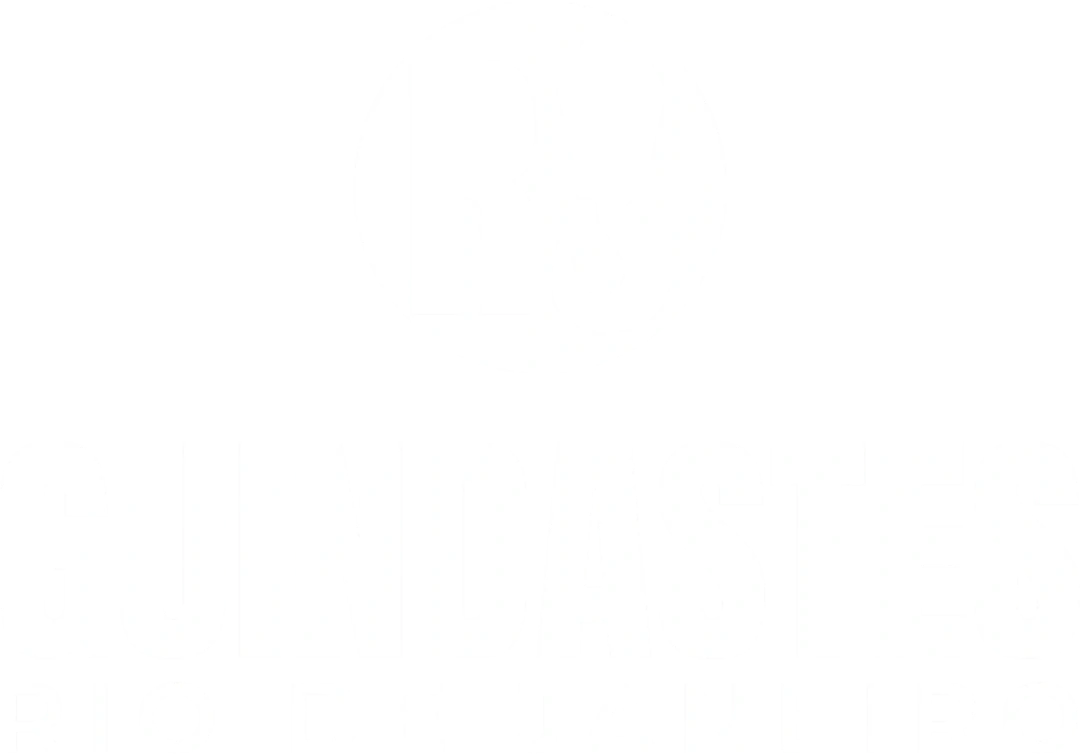 Guindastes RJ